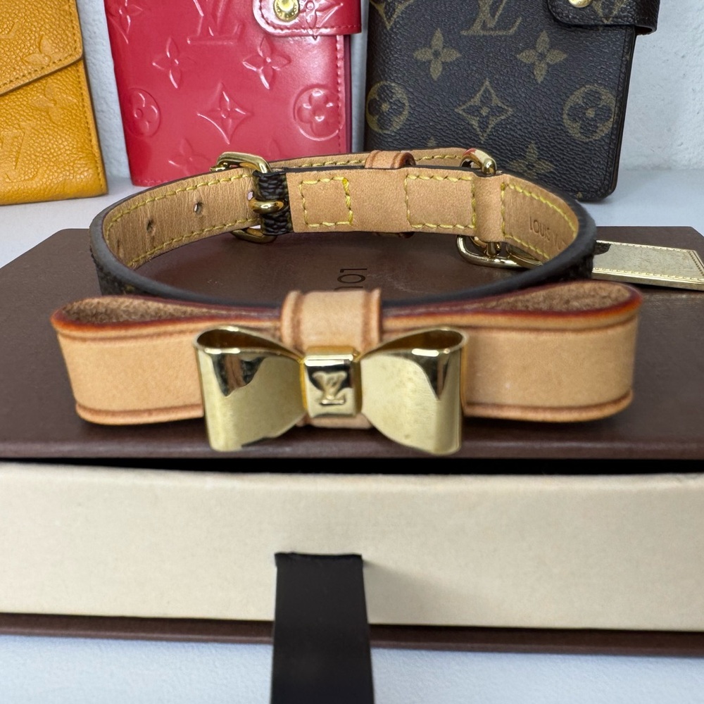 ❤️SOLD ❤️Louis Vuitton Collier Baxter XS Accessory